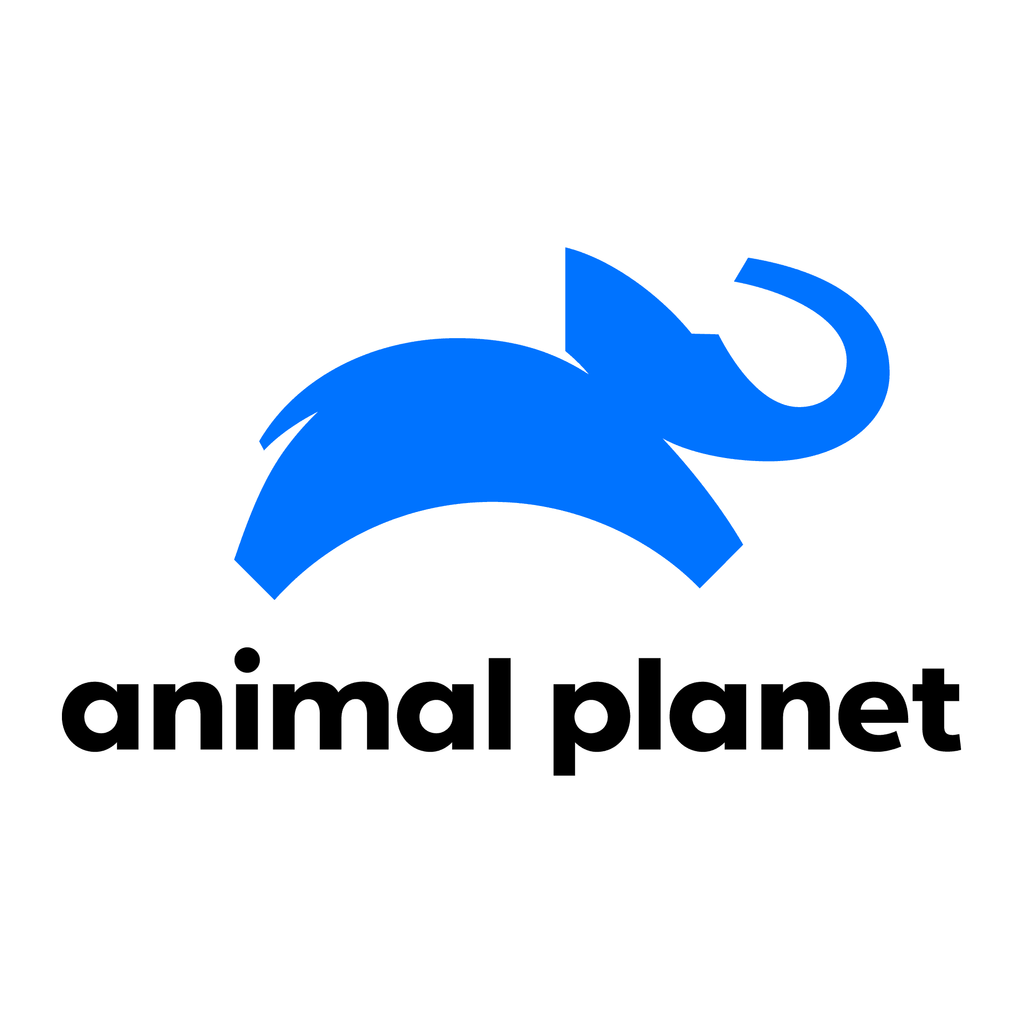 fundo transparente animal planet