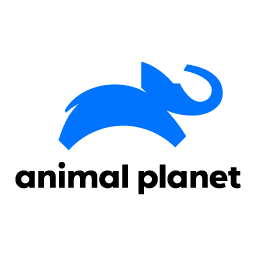 svg animal planet
