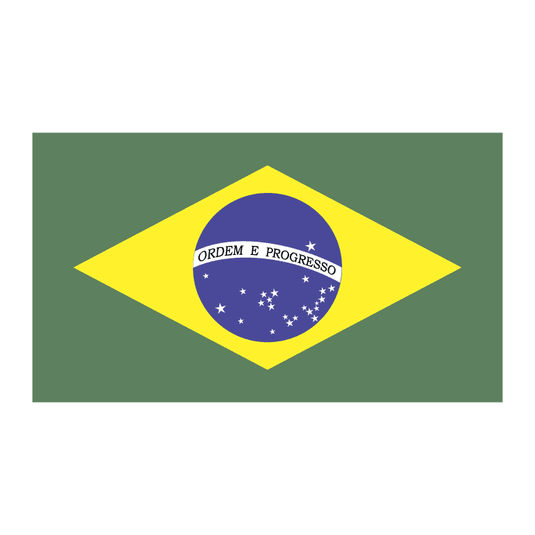 logo bandeira do brasil