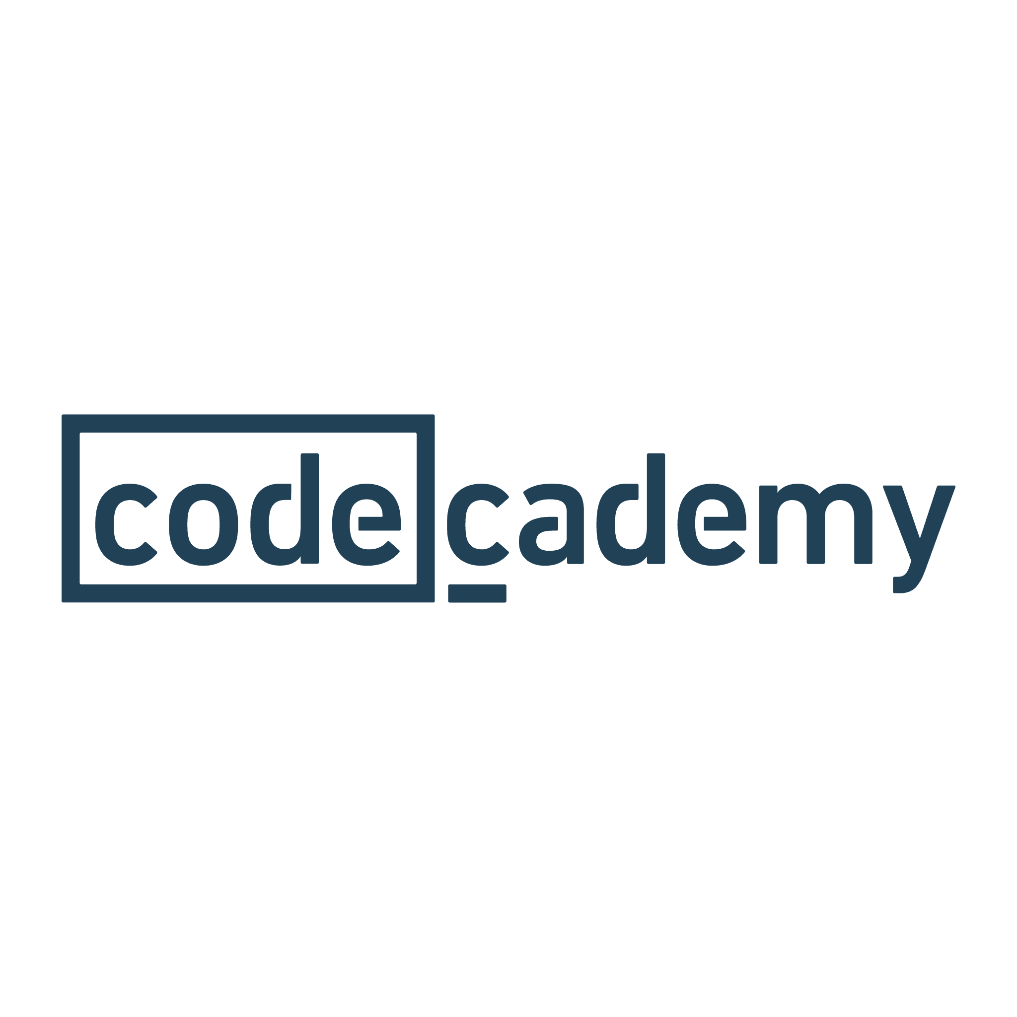 vector codecademy