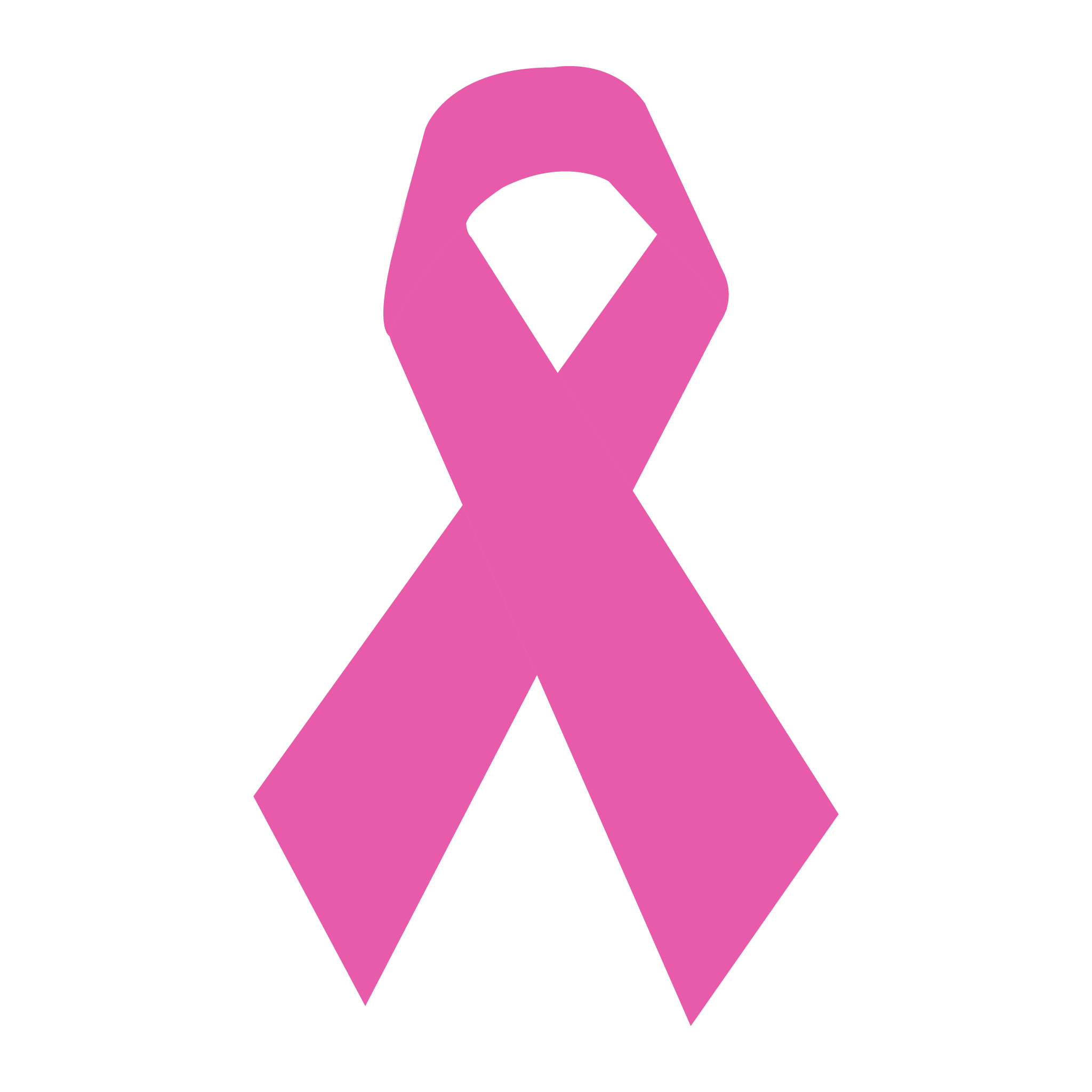 brasao do outubro rosa cancer mama