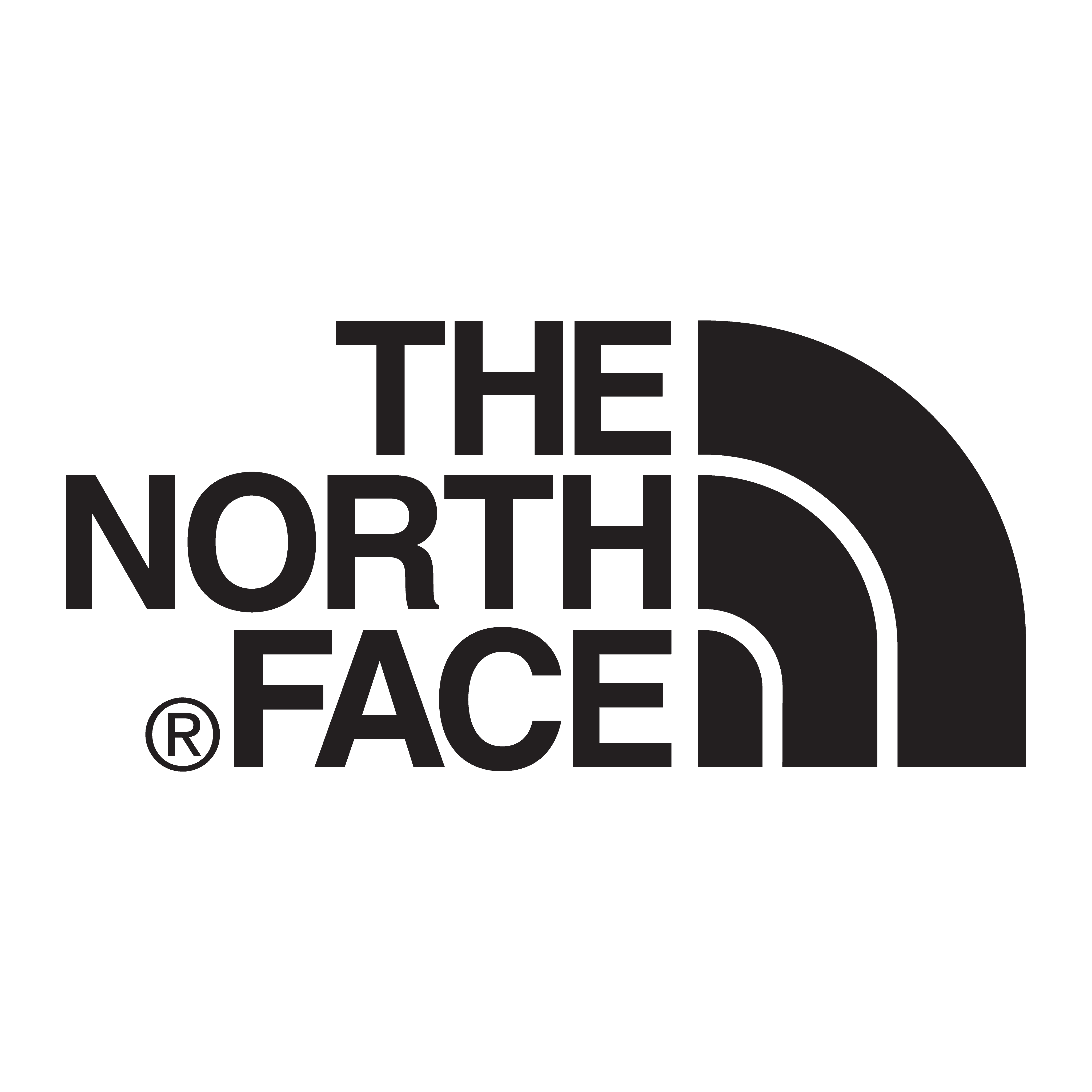 brasão the north face