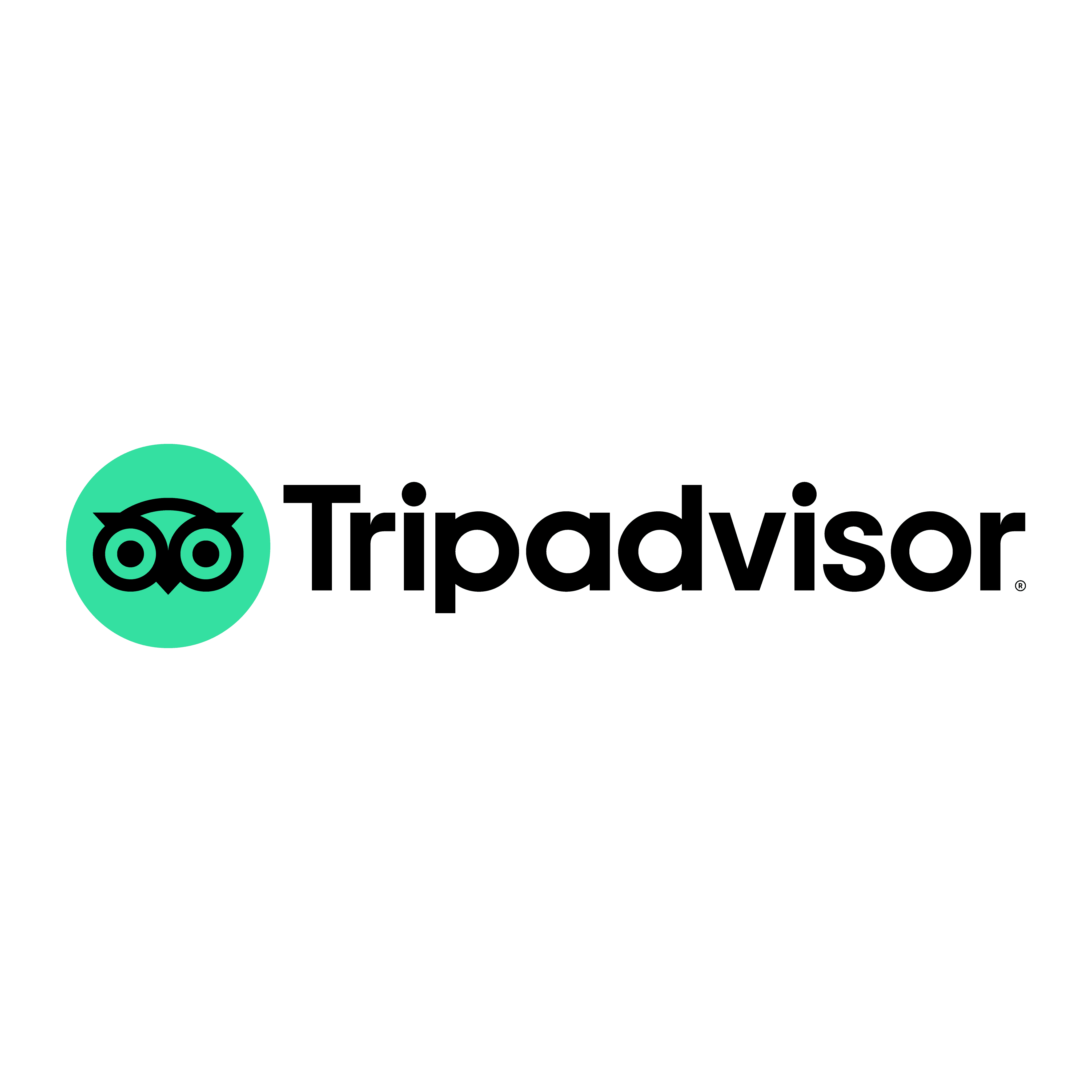 vector tripadvisor