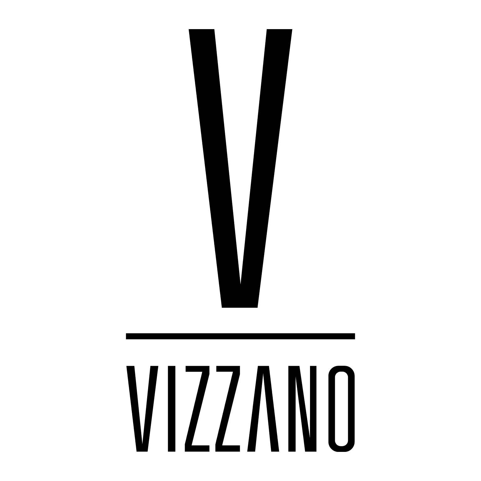 vector vizzano